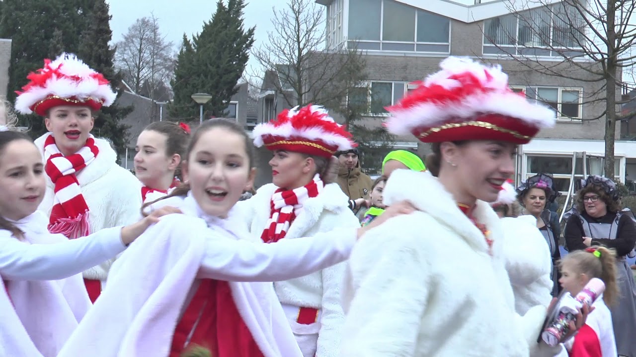 Carnavalsoptocht De Dolle Instuivers Renkum 2020