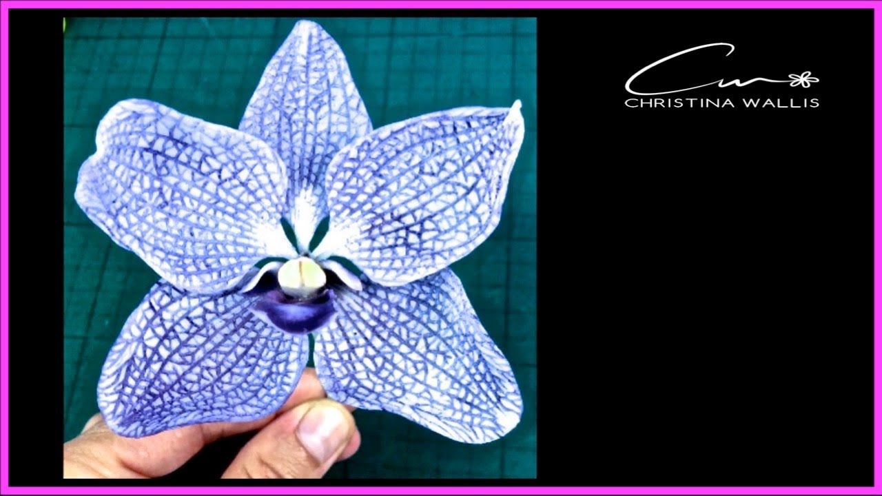 Sugar Vanda Orchid How to Tutorial Part 1  (2021)