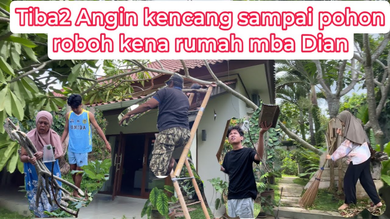 TIBA-TIBA ANGIN KENCANG SAMPAI POHON ROBOH KENA RUMAH MBA DIAN || SEKALIAN BEBERSIH TAMAN