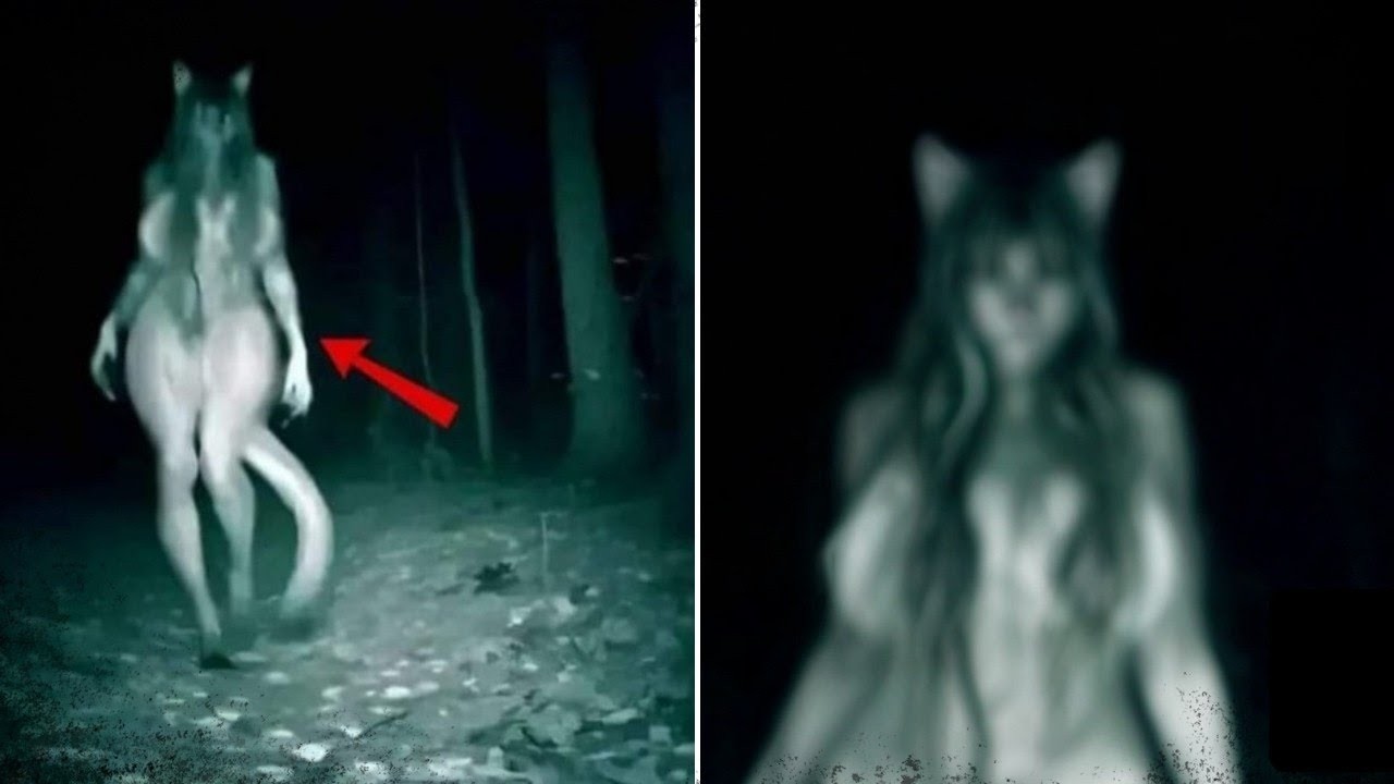 Tutti Quelli Che Hanno Visto Questi Video Non Hanno Una Spiegazione!