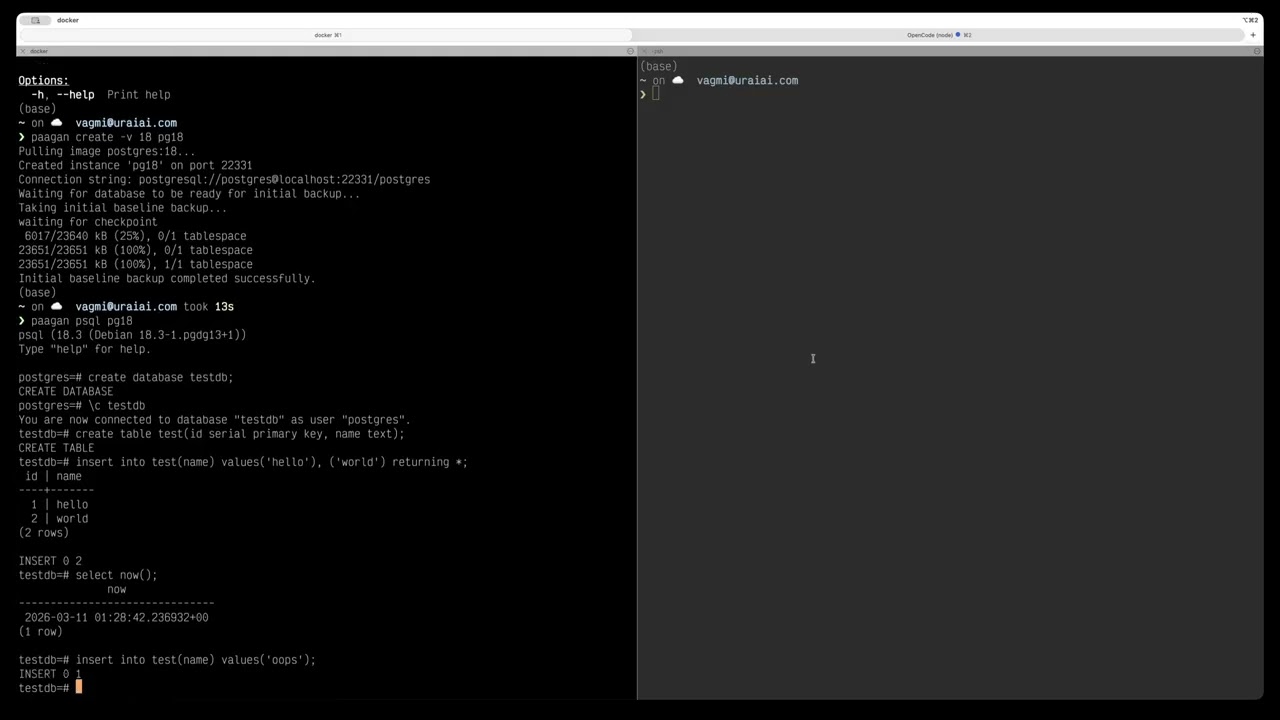 A demo of paagan - Manage pg instances with docker