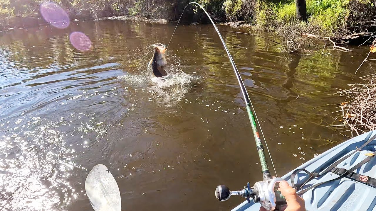 Glide Bait Snook Fishing – Lessons from Our First Year