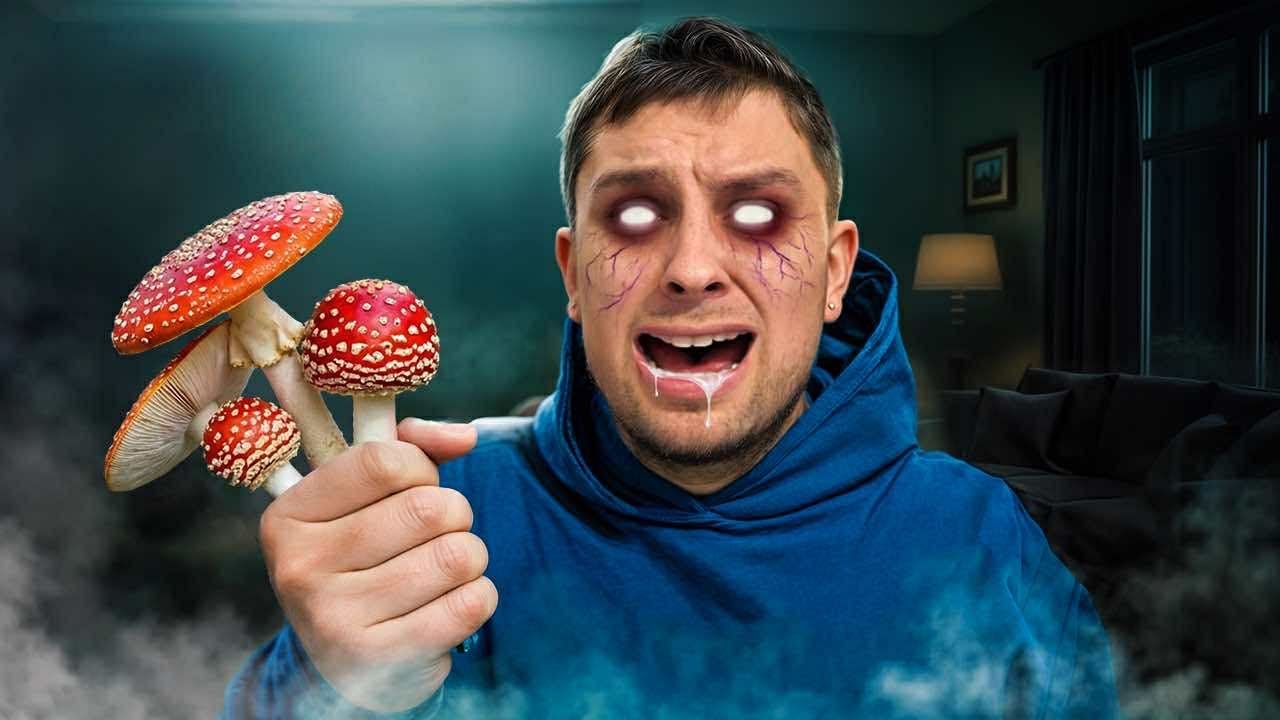 MR G ZATRUŁ SIĘ GRZYBAMI!