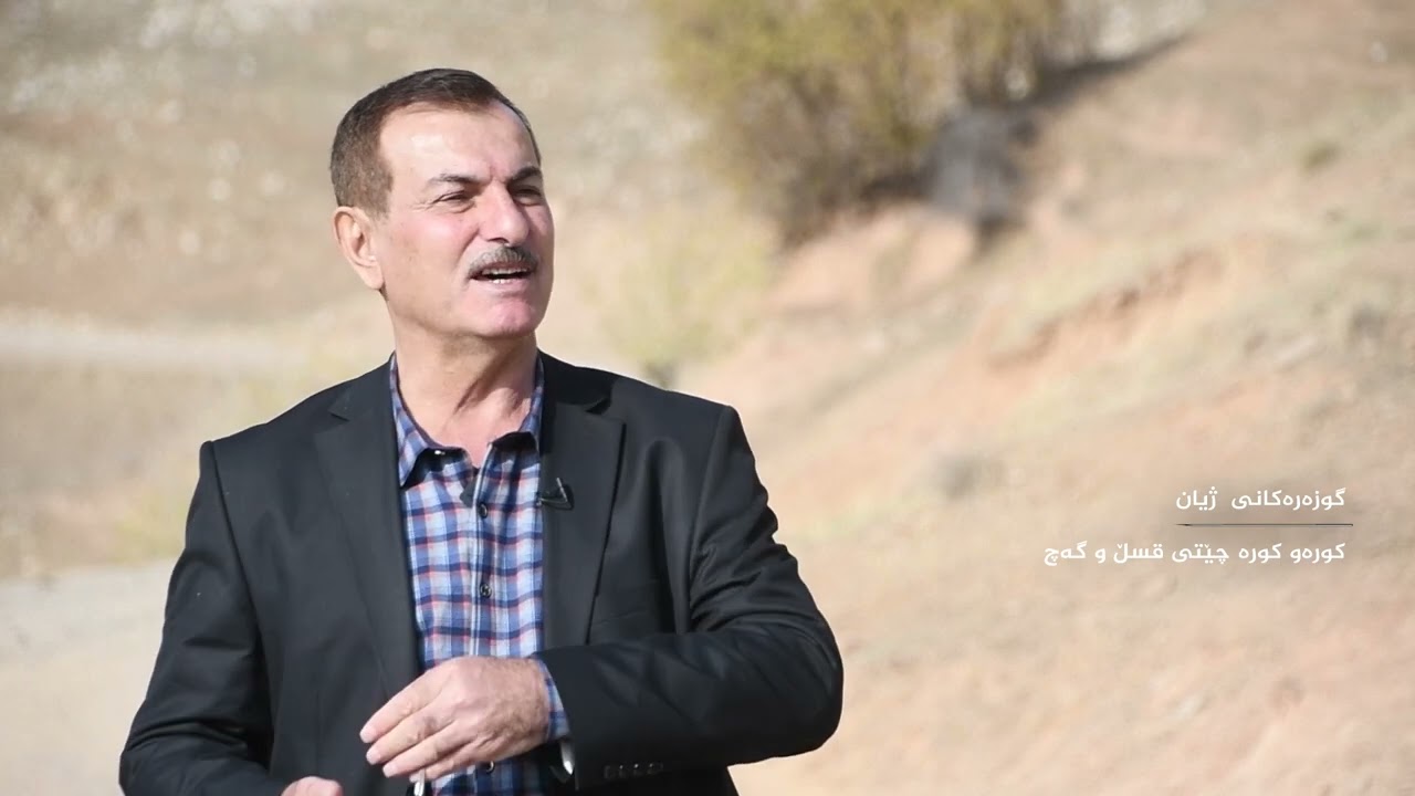 ١٦ كانون الأول ٢٠٢٥/کورەی قسڵ و گەچ لەتەکێ وبەلەکجاڕو گڵەزەردە
