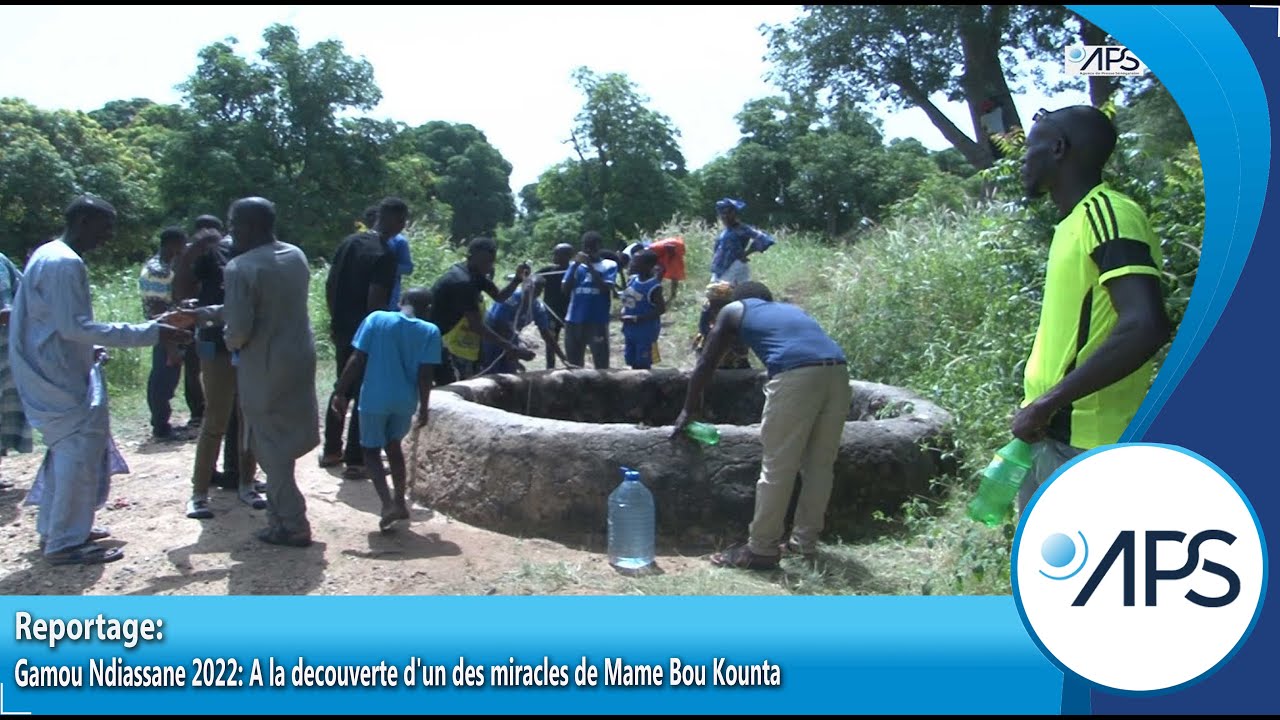 Gamou Ndiassane 2022: A la decouverte d'un des miracles de Mame Bou Kounta