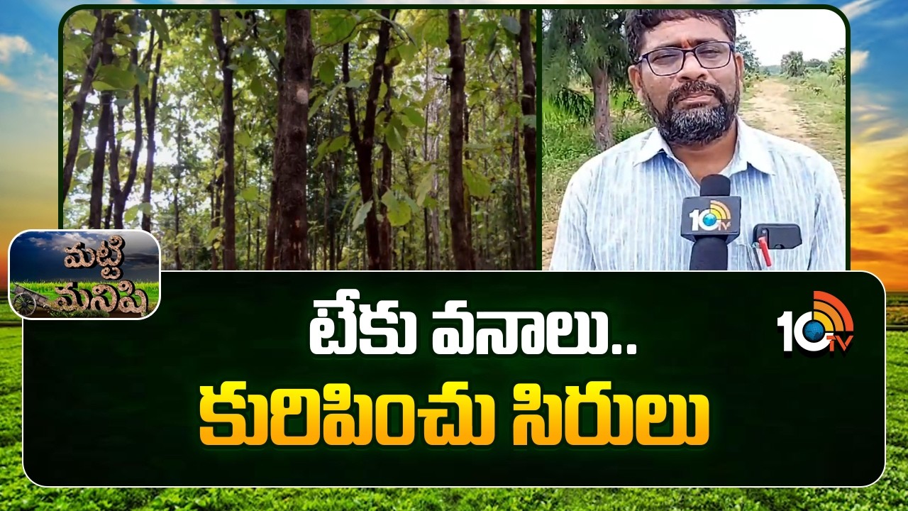 Huge Profits With Teak wood Farming | టేకు వనాలు.. కురిపించు సిరులు | Matti Manishi | 10TV