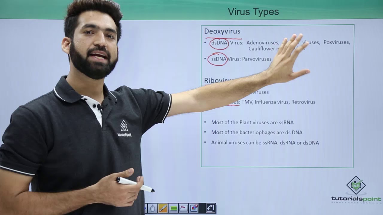 Class 11th &ndash; Virus &ndash; Types | Biological Classification | Tutorials Point