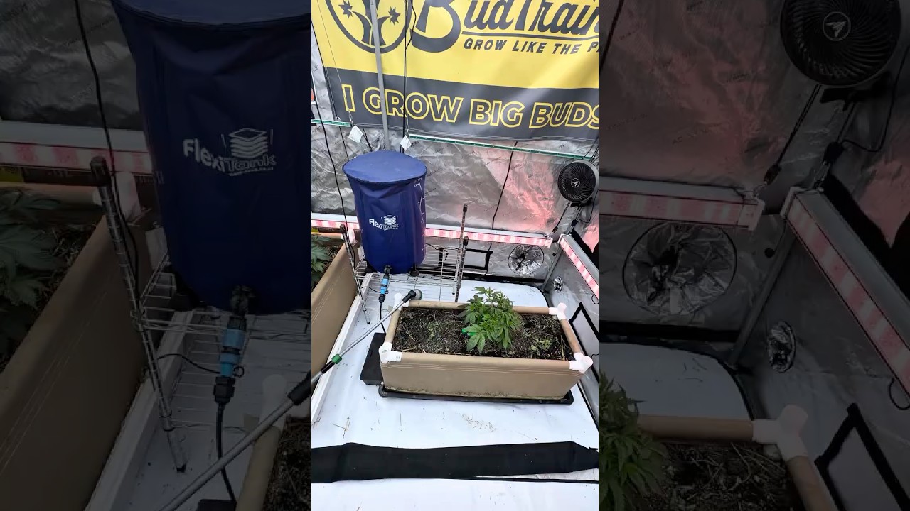 Tray2Grow Living Soil Tips