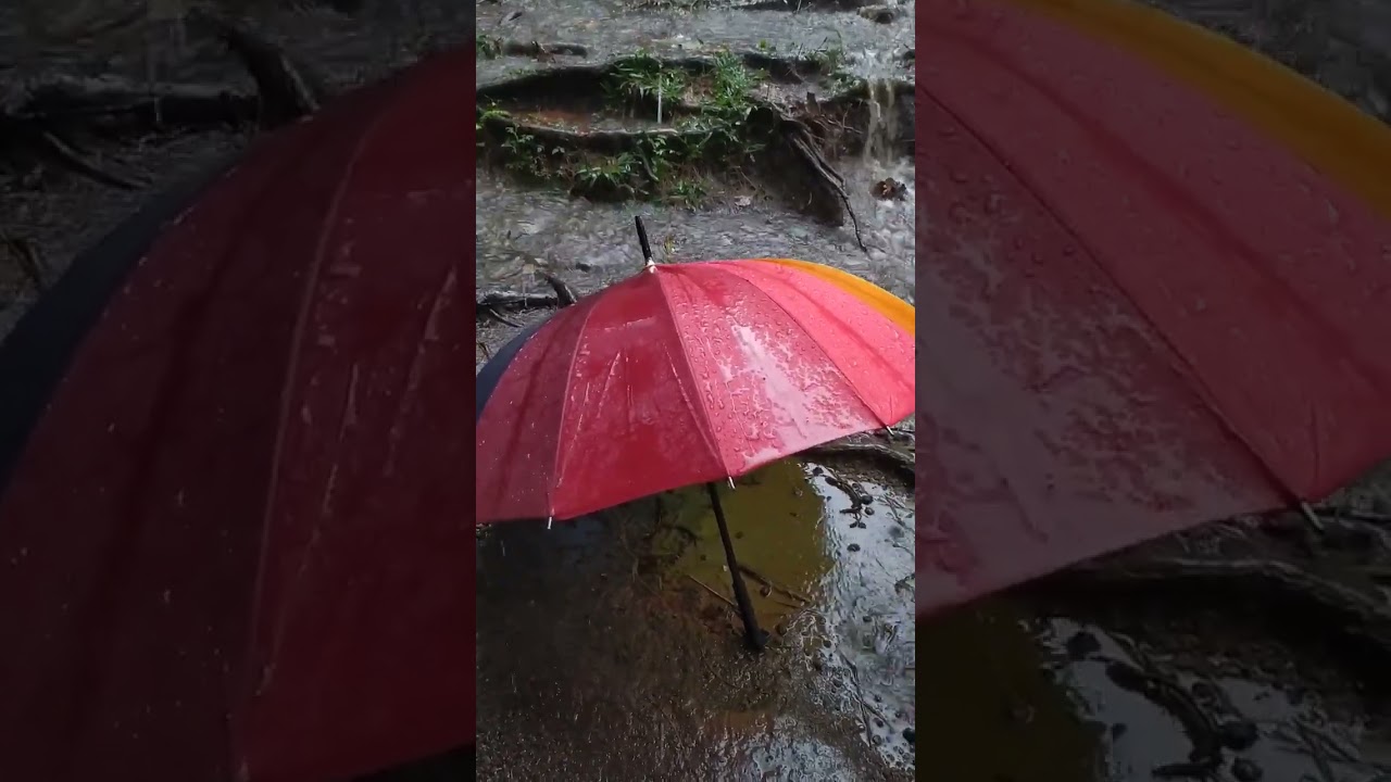 Rain sounds for sleeping #relaxing #rainsounds #thunderstorm #thunderstormsounds #forinsomnia