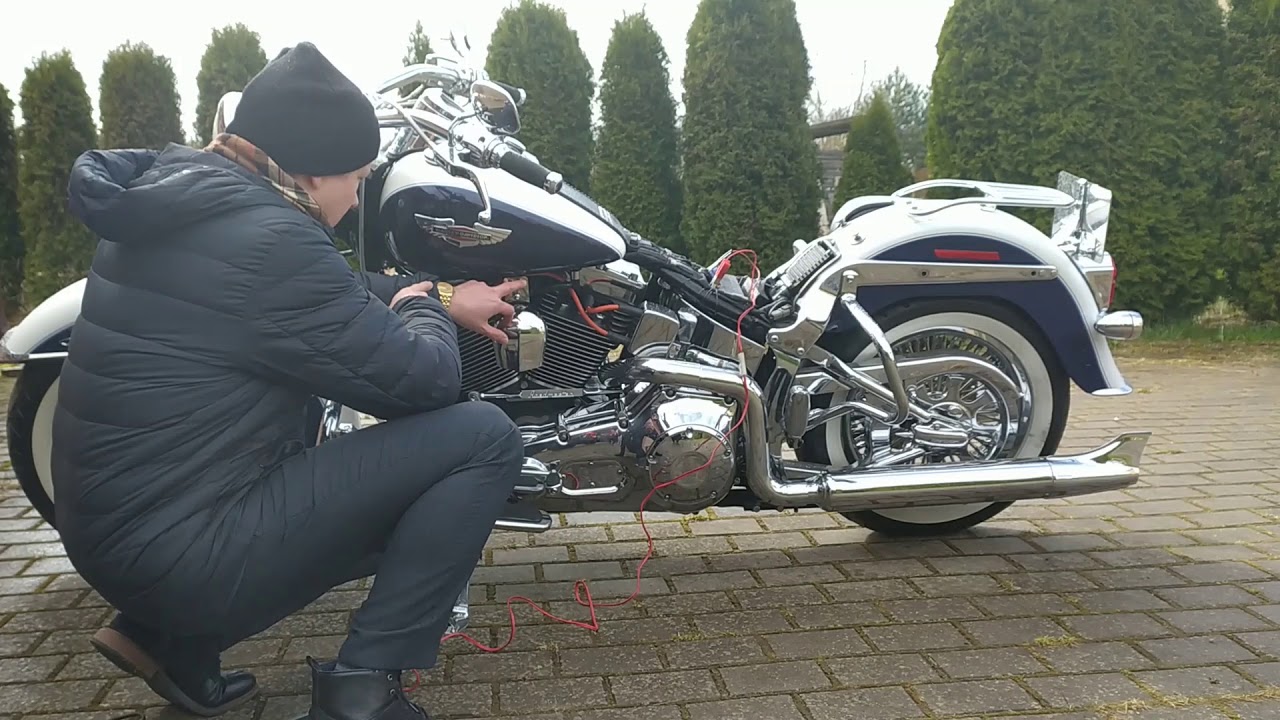 Shotgun Shocks Problem Harley Softail