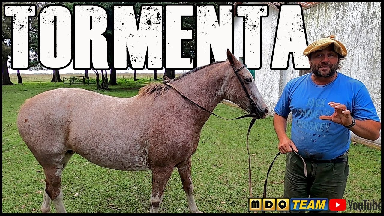 La Tormenta