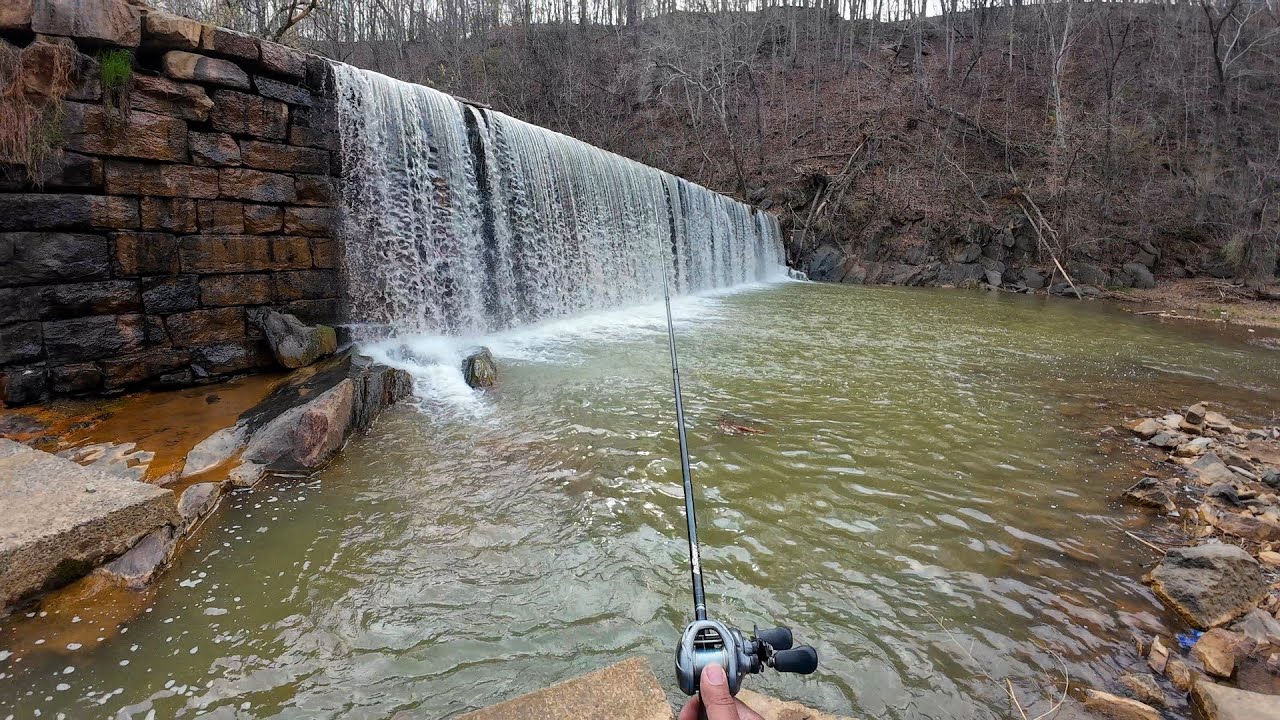 I NEVER caught this on camera before!  bank fishing