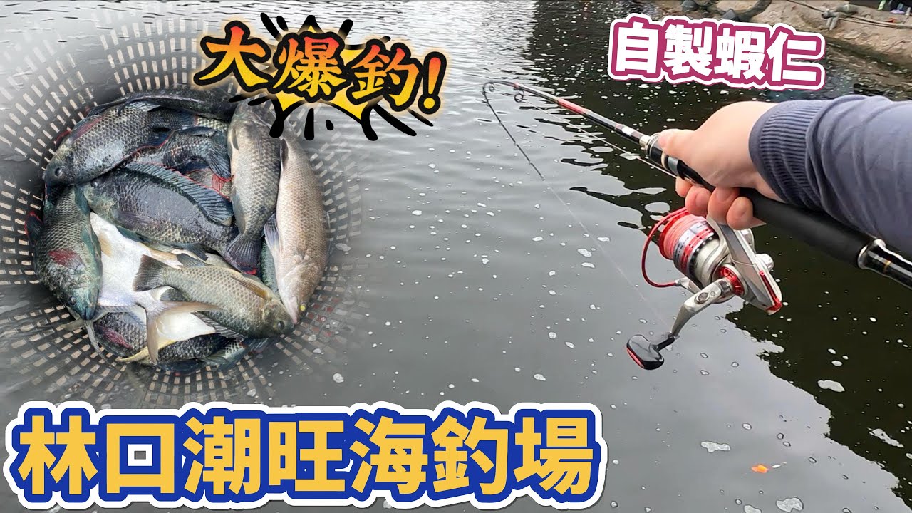 海釣場超簡單便宜釣組!加上自製蝦仁竟然可以大爆釣!?猜猜我釣了幾隻呢! #釣魚#海釣場#林口潮旺海釣場#自製蝦仁