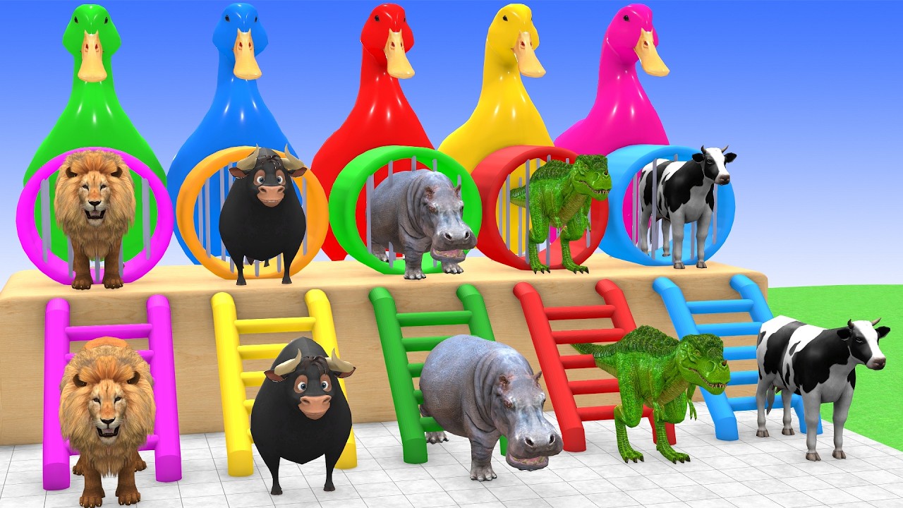 Long Slide Game With Cow Elephant Gorilla Hippopotamus Tiger 3d Animal Game Funny 3d Animals