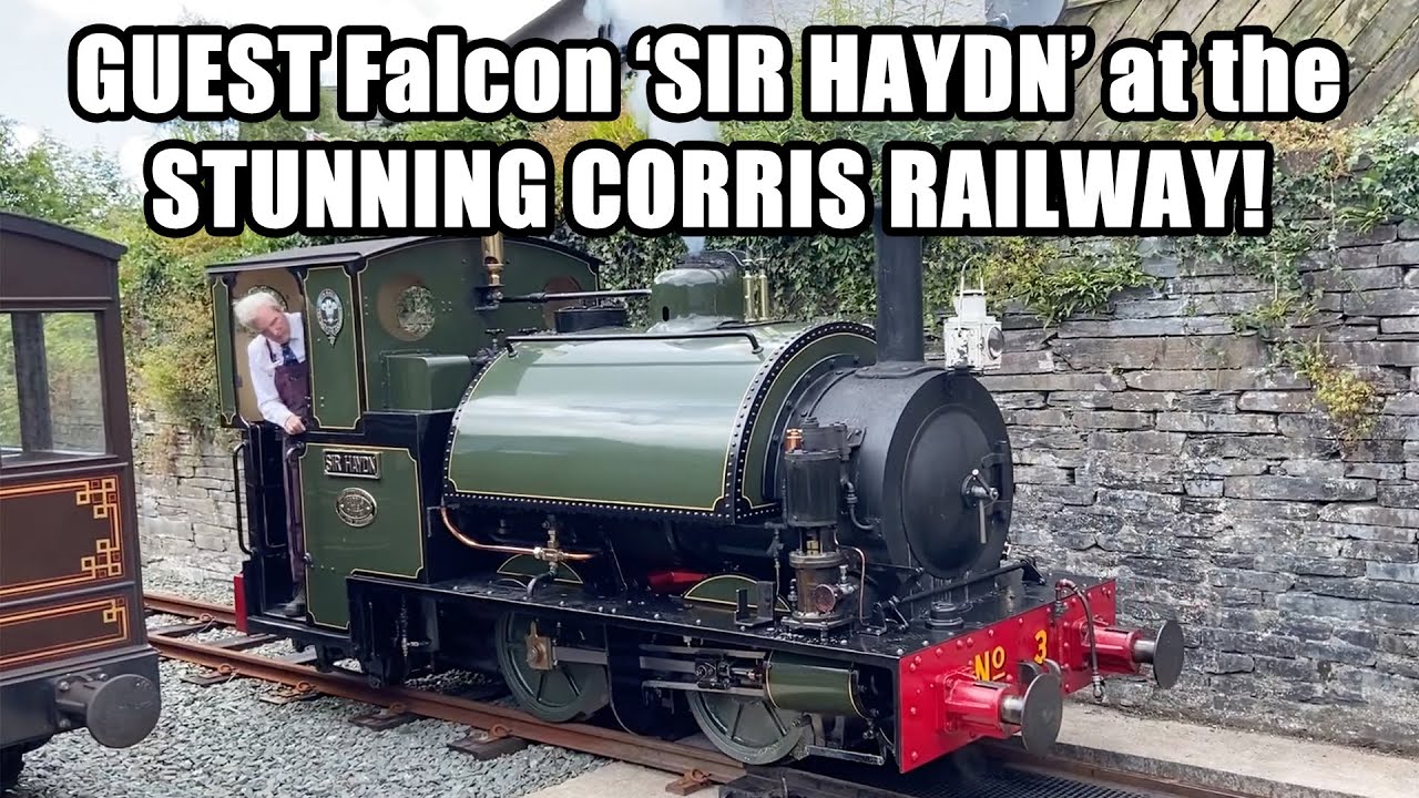 Guest Falcon 'SIR HAYDN' at the STUNNING CORRIS RAILWAY!