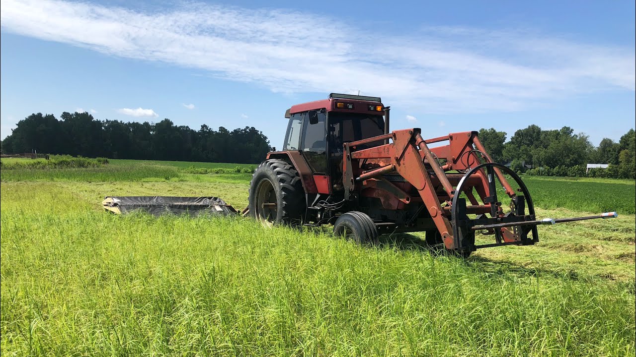 Cutting Hay Case 5140 & New Holland 616