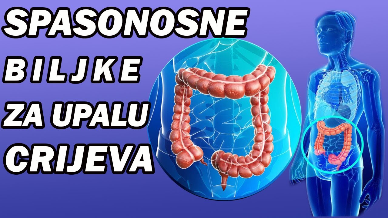 NAJBOLJI METOD ZA ČIŠĆENJE CRIJEVA! Dr Mihajlović
