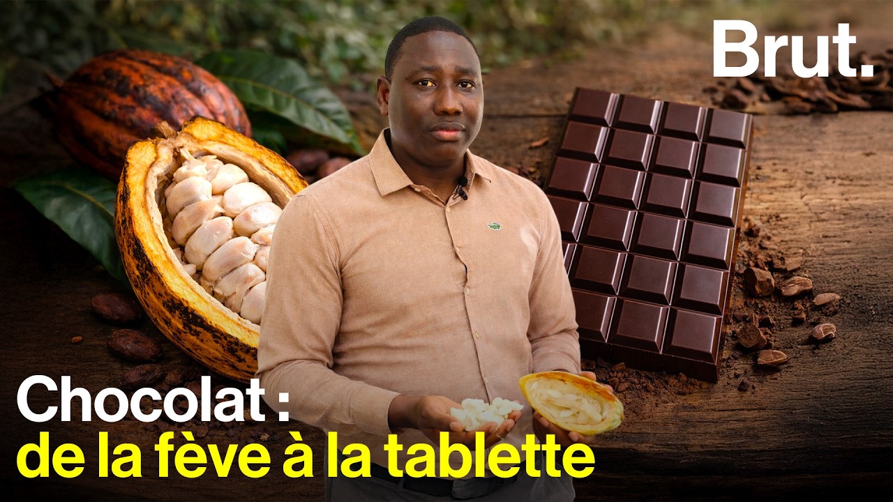 Ce généticien essaie de décarboner la filière cacao en Guyane