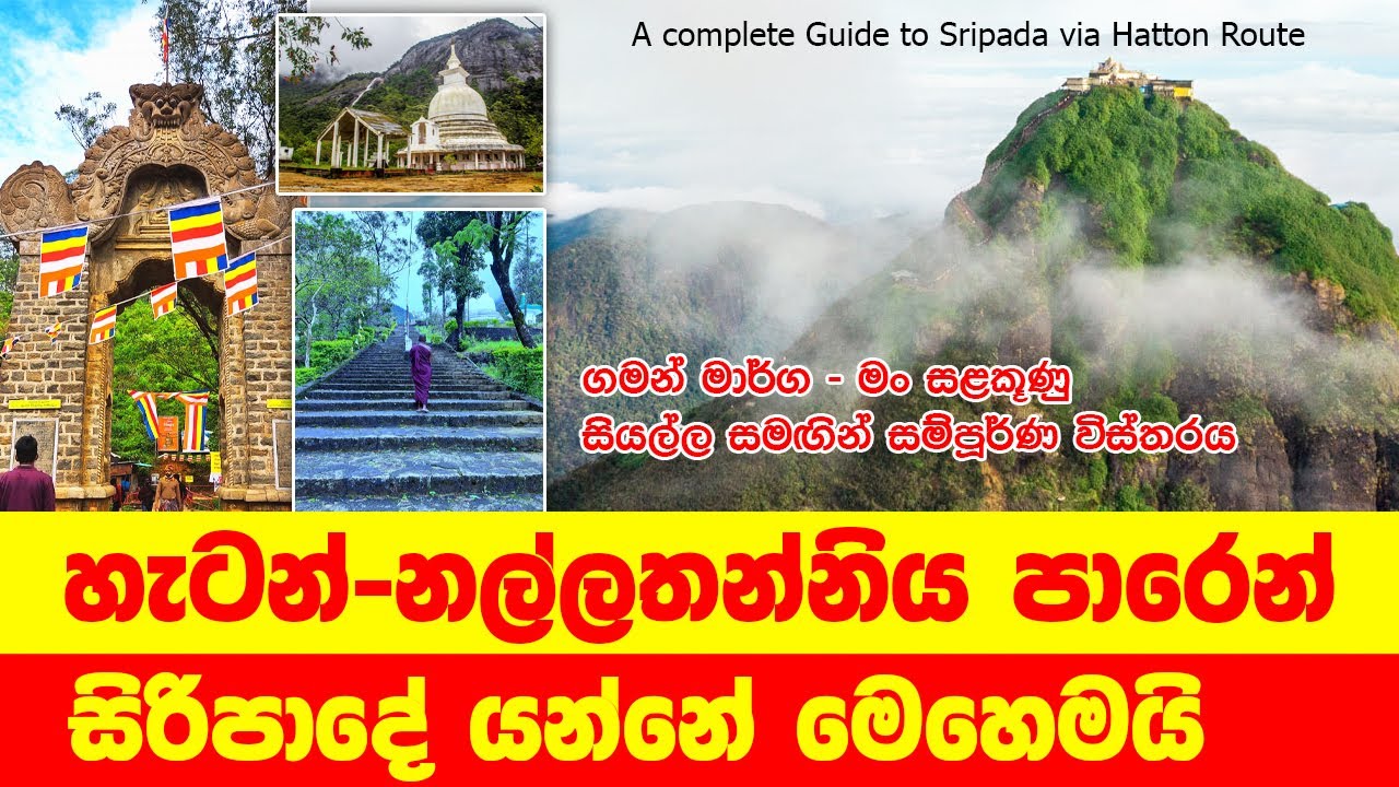 හැටන් - නල්ලතන්නිය පාරෙන් සිරිපාදේ යන හැටි - සියලුම විස්තර සහිතව #srilanka #sripada #srilankanews