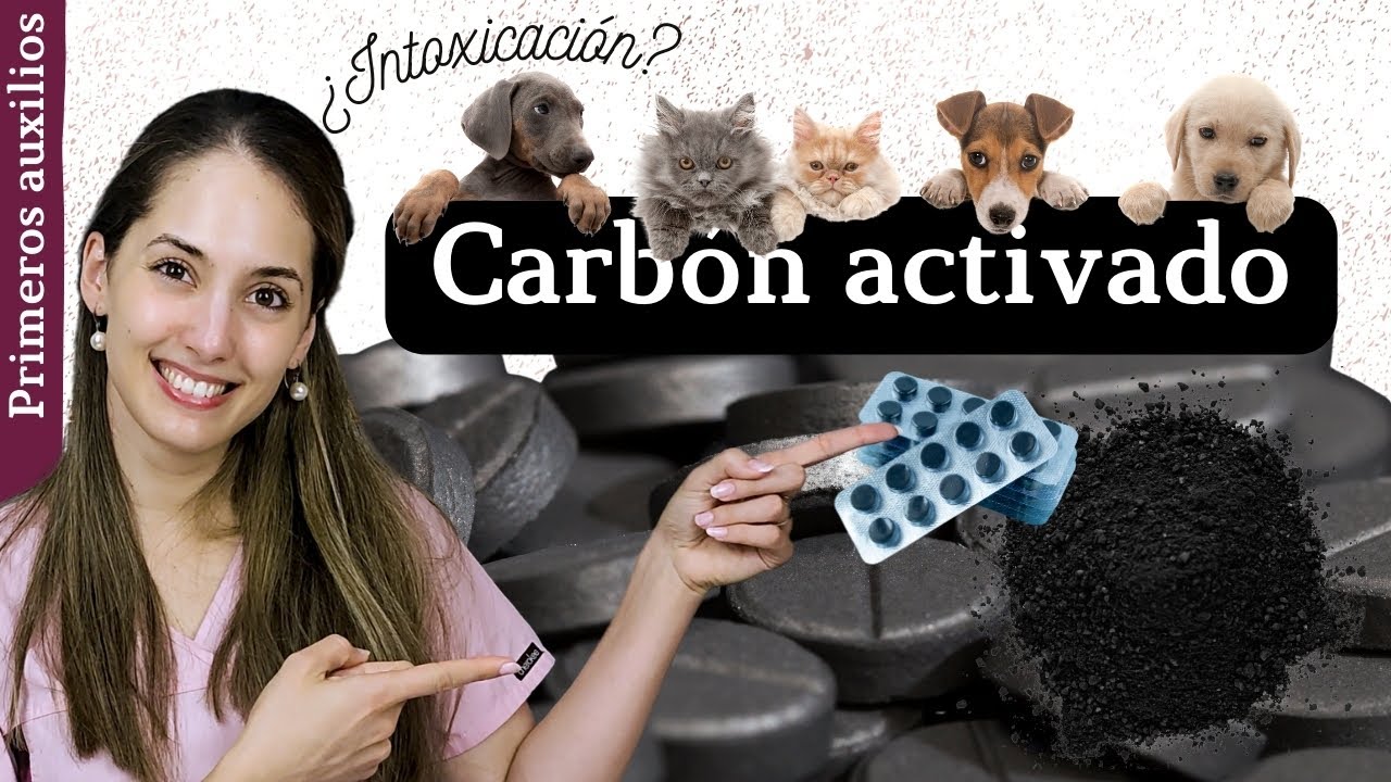 ¿Sabes usar el CARBÓN ACTIVADO? | INTOXICACIONES