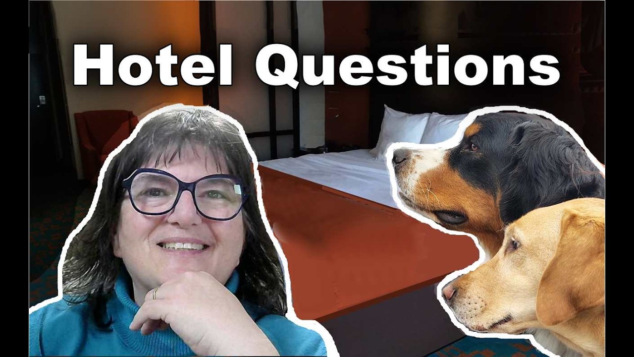 What Can a Hotel Ask About Your Service Dog (Live)