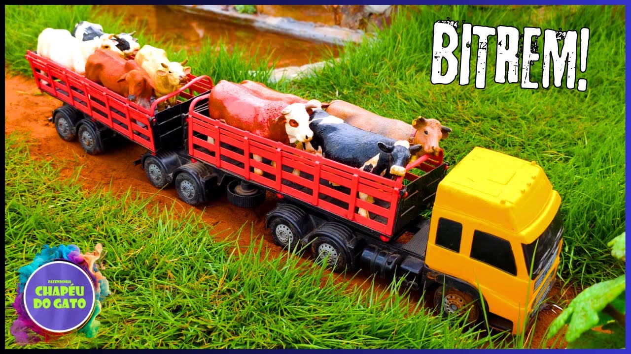 CHEGOU A BOIADA NO CAMINHÃO BITREM NA NOVA FAZENDA!