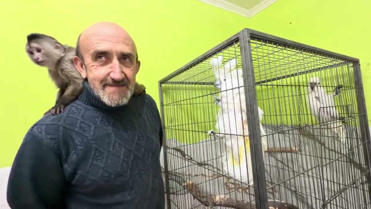 Кеша знакомится с Фиником и СМЕЕТСЯ КАК ЗАВОДНОЙ❤️