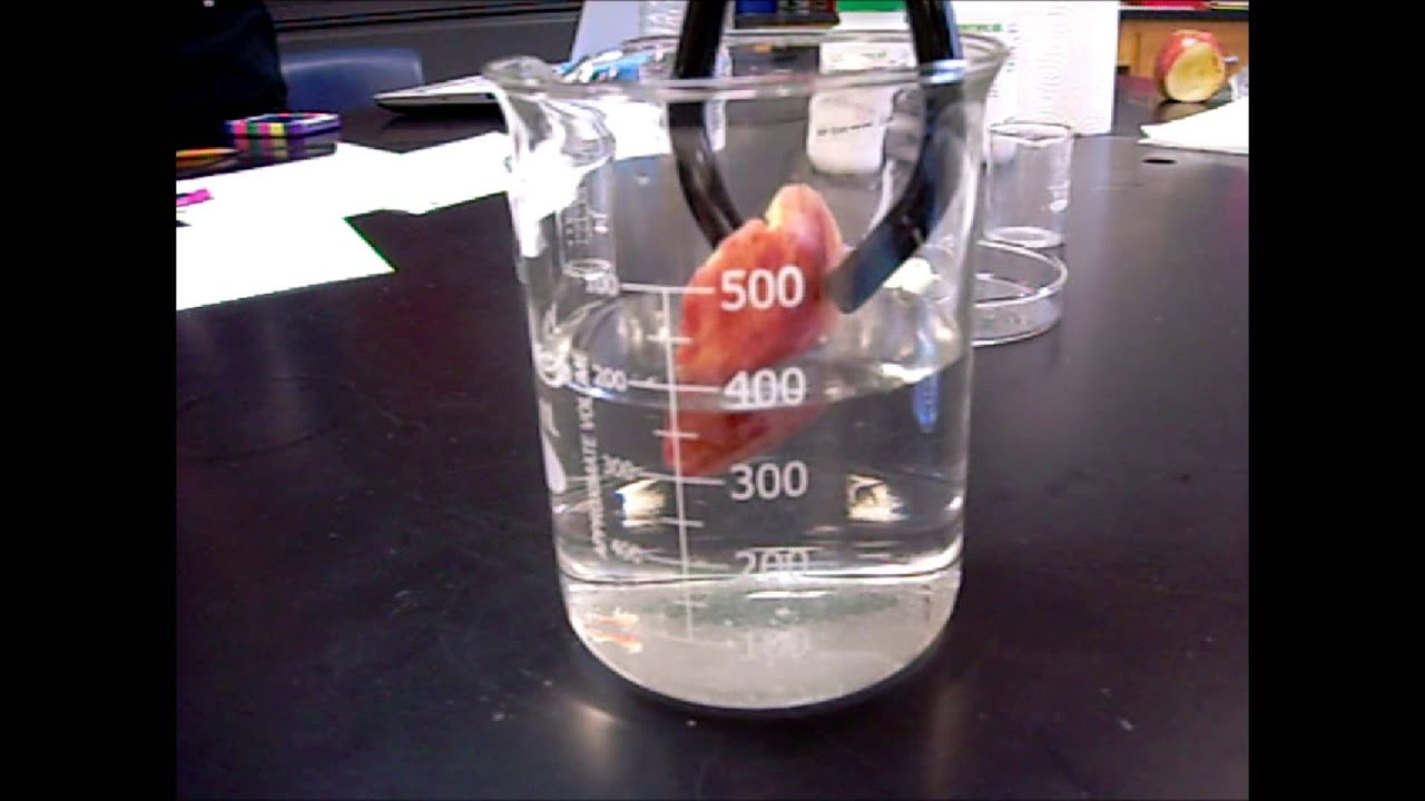 Digestion: Simulating the Stomach