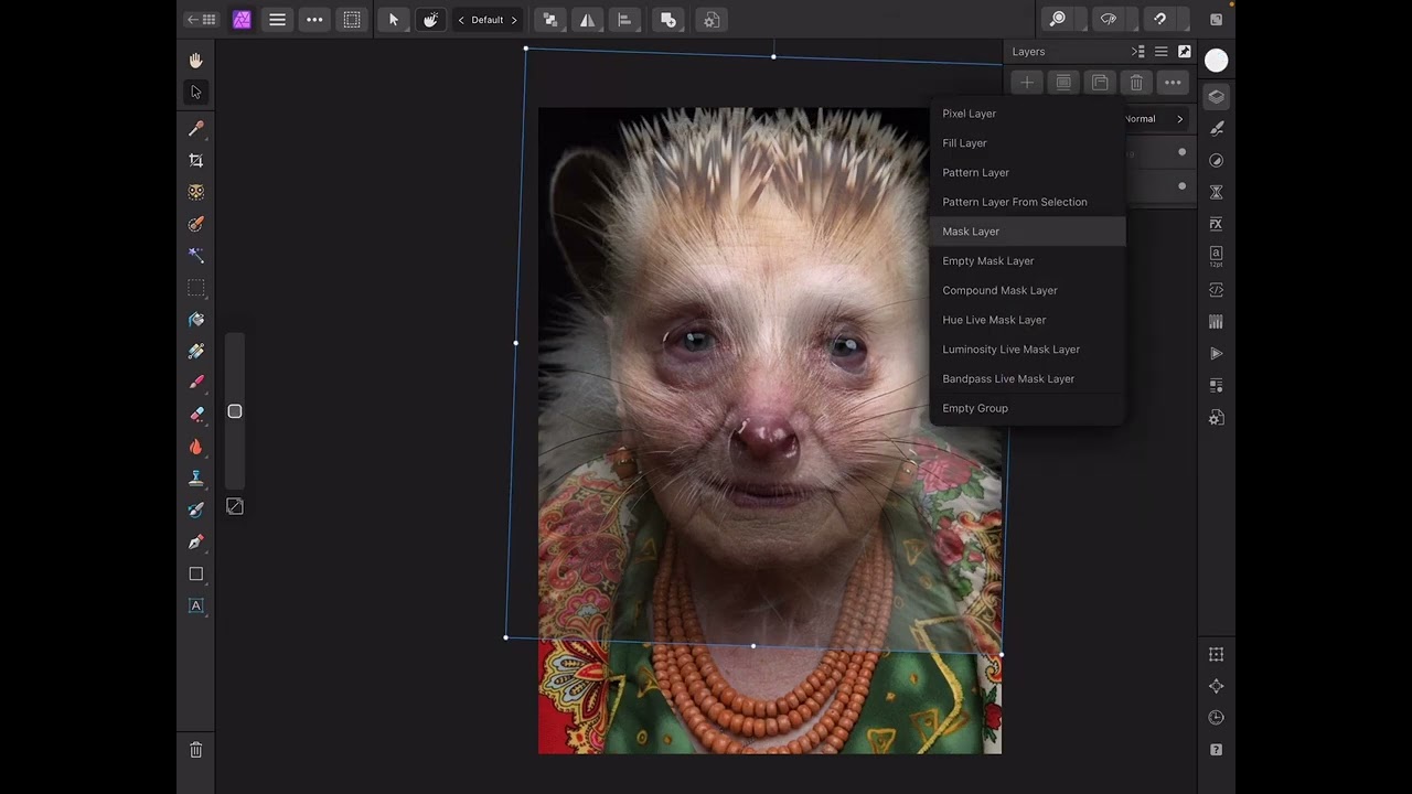 Animal-Human Hybrid