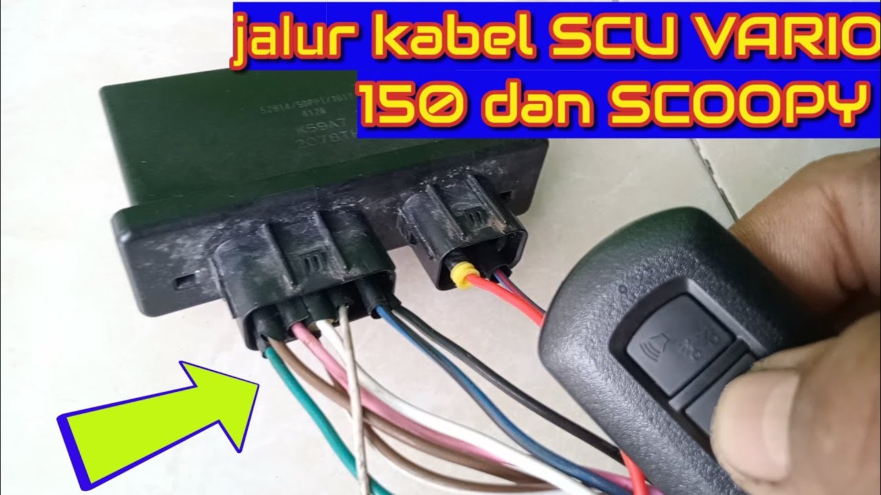 jalur kabel SCU VARIO 150 dan cara kerjanya