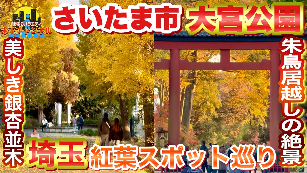 【ぶらり.埼玉.紅葉】さいたま市周辺で楽しめる紅葉スポット巡り大宮氷川神社公園〜氷川神社まで