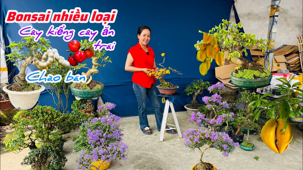 Cây kiểng cây ăn trái bonsai nhiều loại chào bán bao ship..20/02😘📲 0334.270.232.Bích-Nhung 