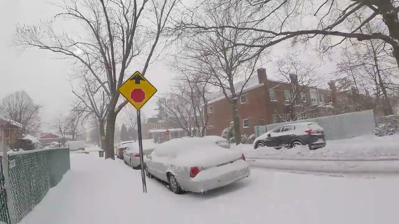 Checking out the Snowstorm!