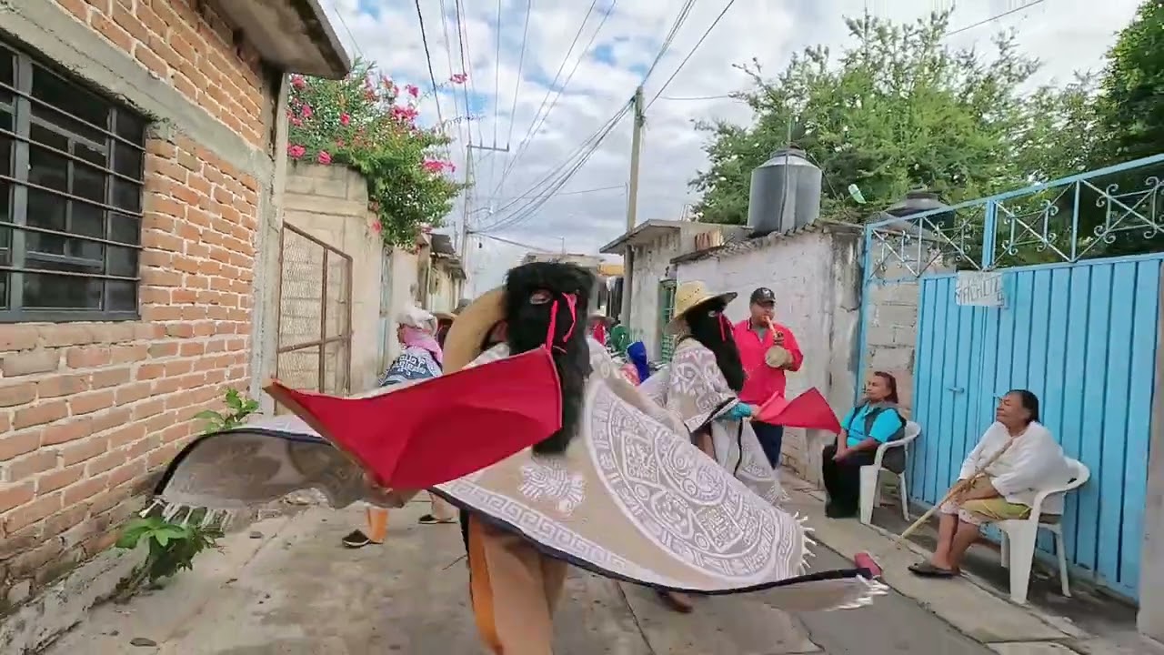 Tradiciónal danza de los tecuanes de Tepalcingo Morelos 2025