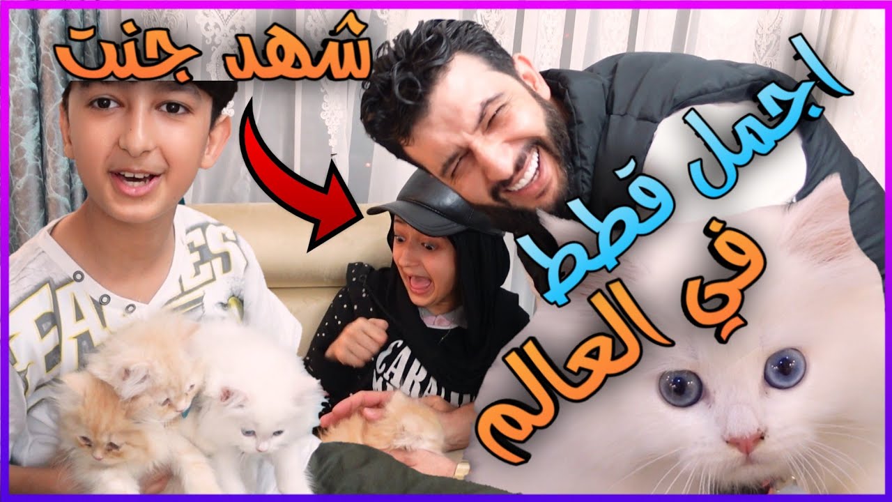 شتريت اجمل قطط في العالم 😽 شوفو ردت فعل شهد 🙀😹 ||🔴 عائلة يزن الاسطورة 🔴||