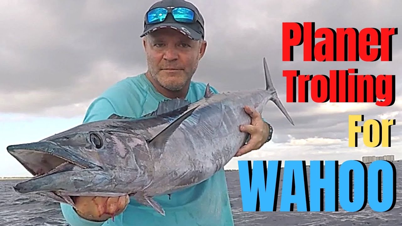 Planer Trolling for WAHOO How to Catch Wahoo Deep Sea Fishing