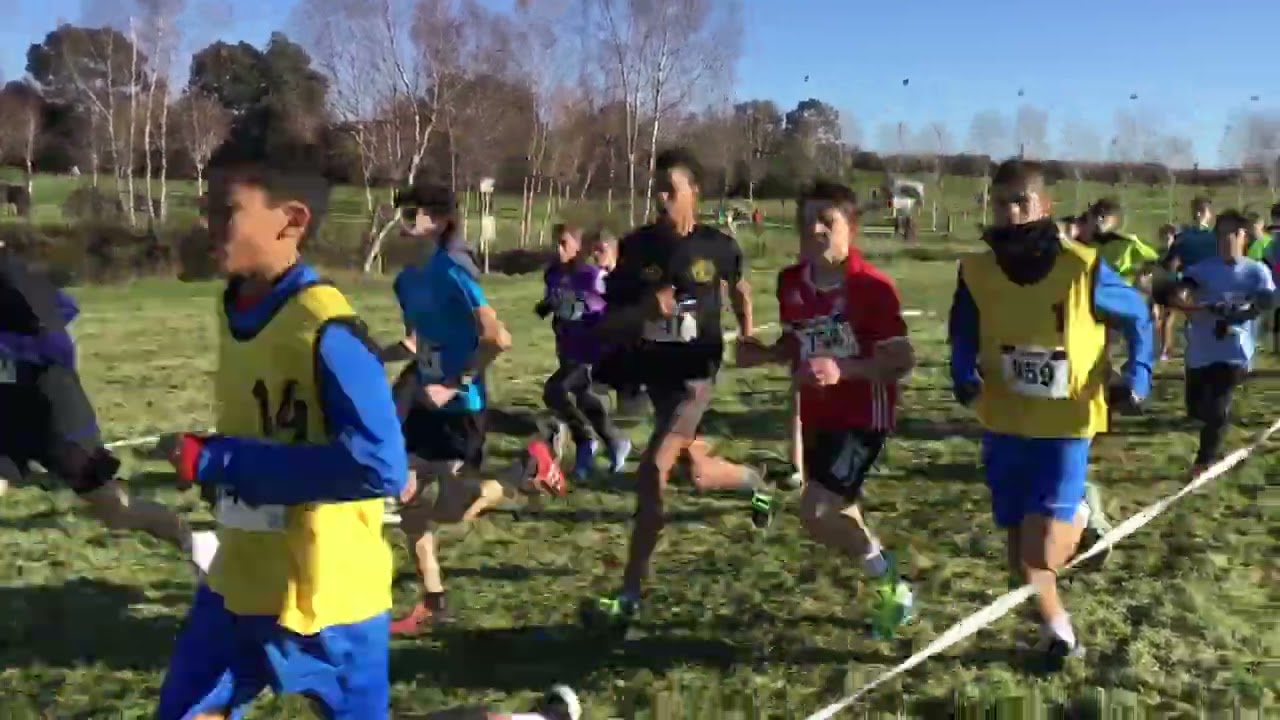 Morbihan. Cross académique UNSS: la course minime garçon