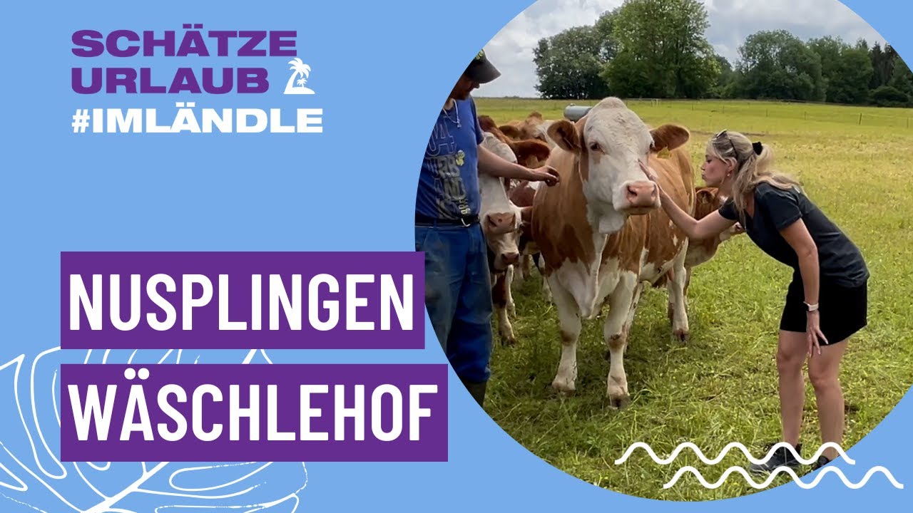 Der W&auml;schlehof in Nusplingen-Dietstaig