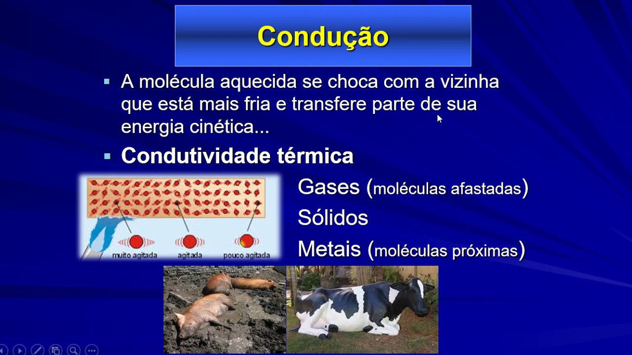 Termorregulação 1