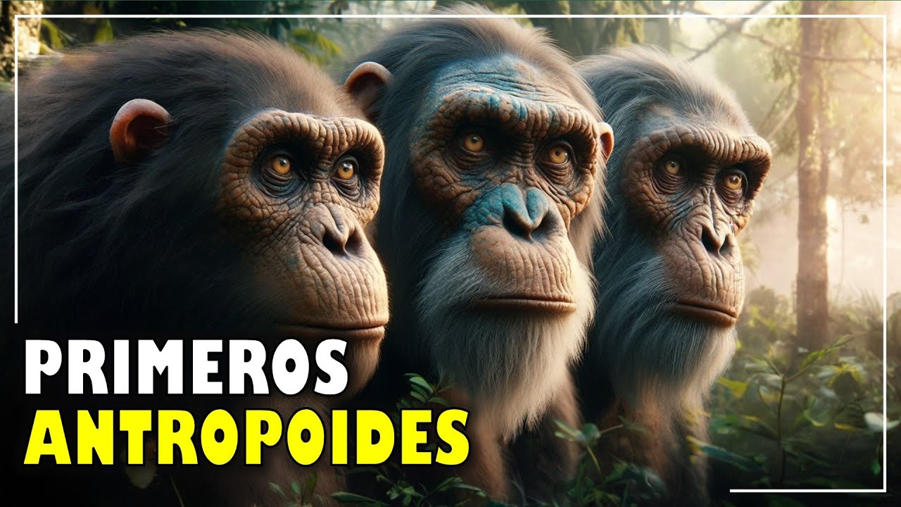LOS PRIMEROS ANTROPOIDES: Oreopithecus, Dryopithecus y Ramapithecus⭐aulamedia Historia