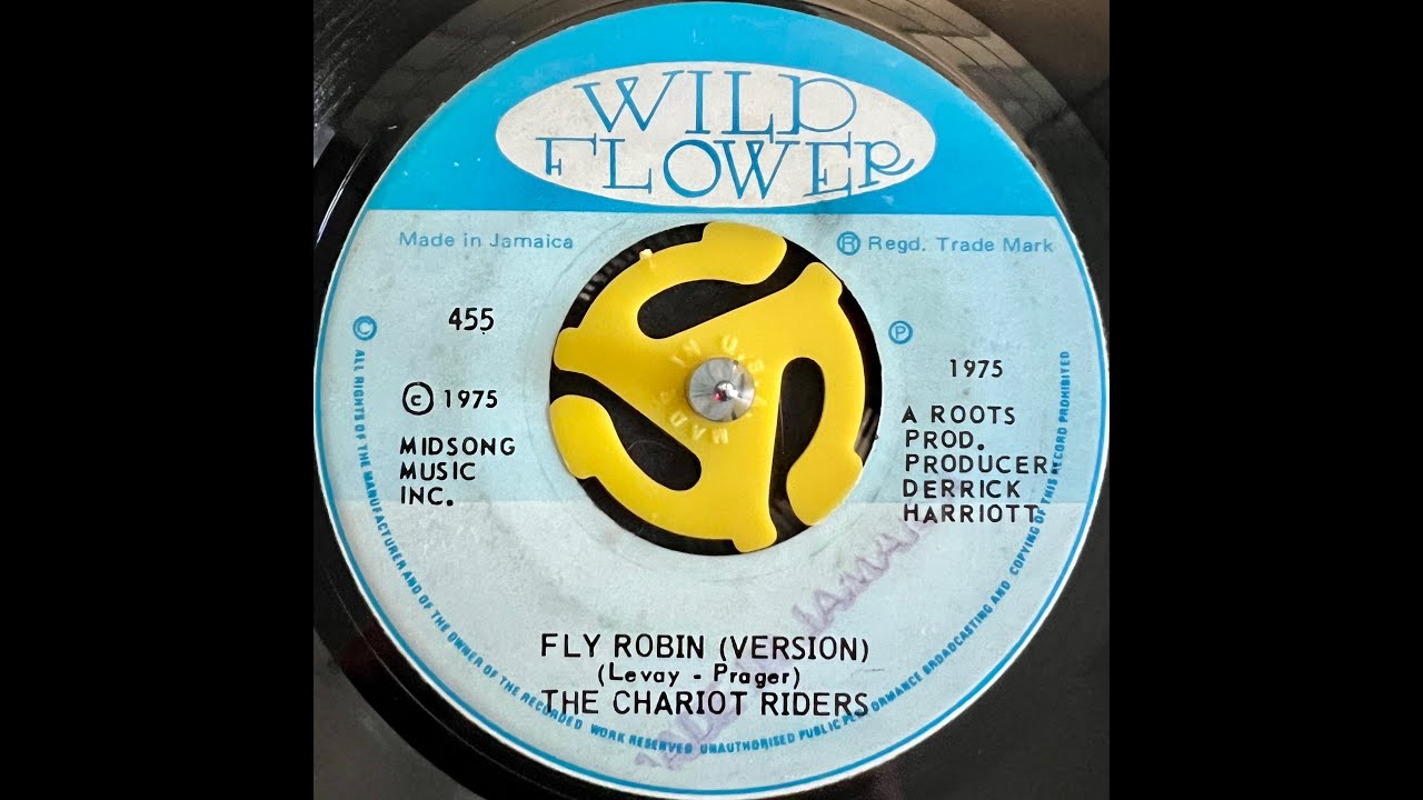 The Chariot Riders - Fly Robin Fly (Version)