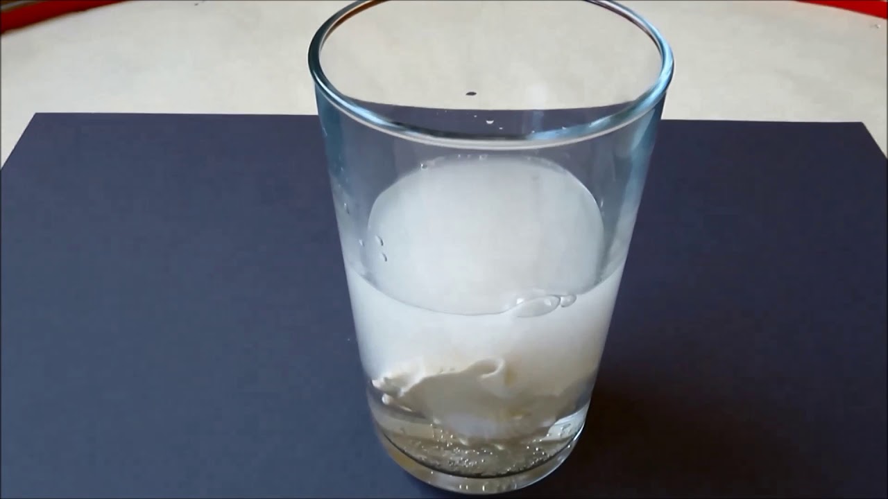 What happens if you put a shell in vinegar?