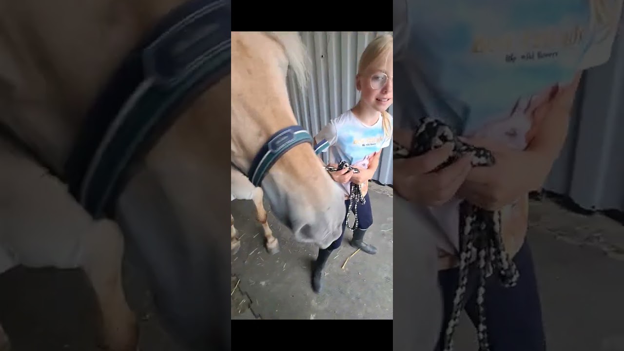 Das sind die besten Fails des Jahres 🙈