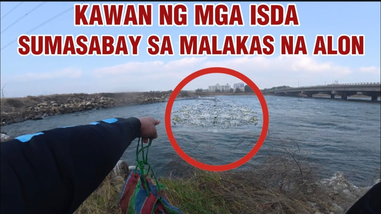 Naglabasan na naman ang KAWAN sumabay sa malakas na alon ng dagat😱 || KELOGS TV 
