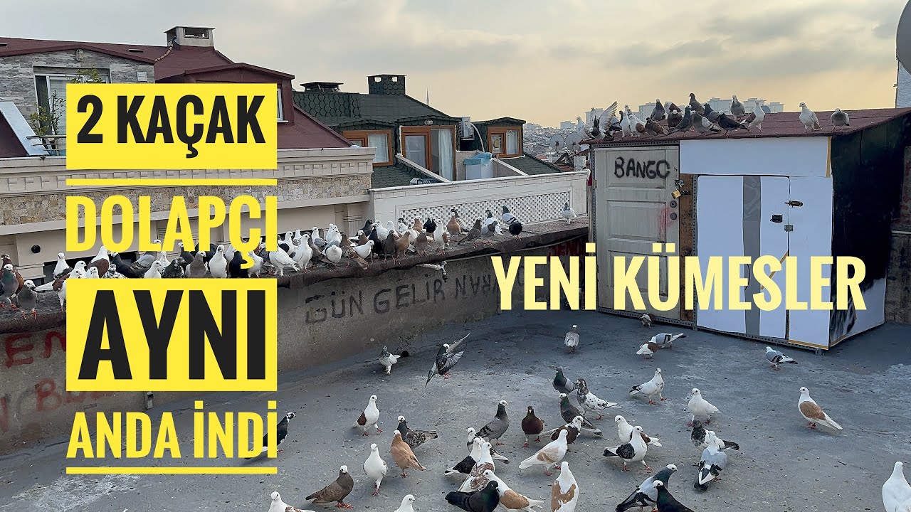 2 KAÇAK DOLAPÇI AYNI ANDA İNDİ YAKALADIKMI ? UTKU İLE DEDENİN YENİ KÜMESLERİ YAPILDI