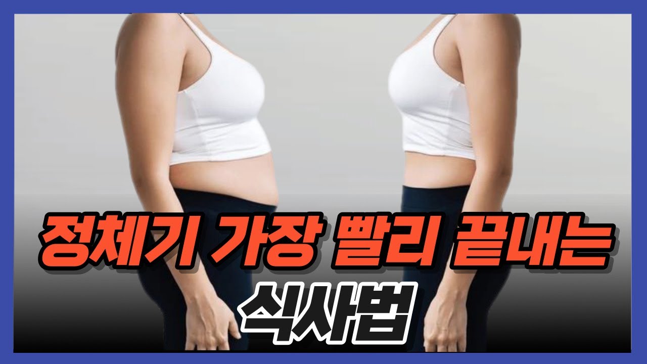 정체기는 무조건 ㅇㅈ 때문입니다. 오늘부터 이렇게 드셔보세요.