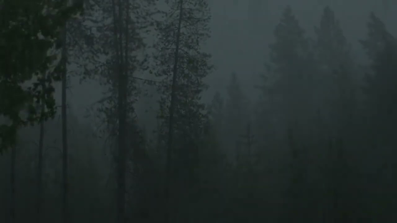 sad song for a rainy evening ಥ_ಥ |• playlist•