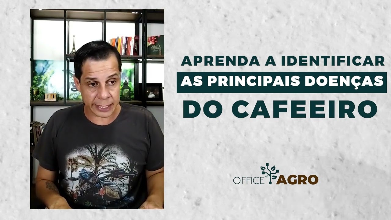 Aprenda a identificar as principais doenças do cafeeiro