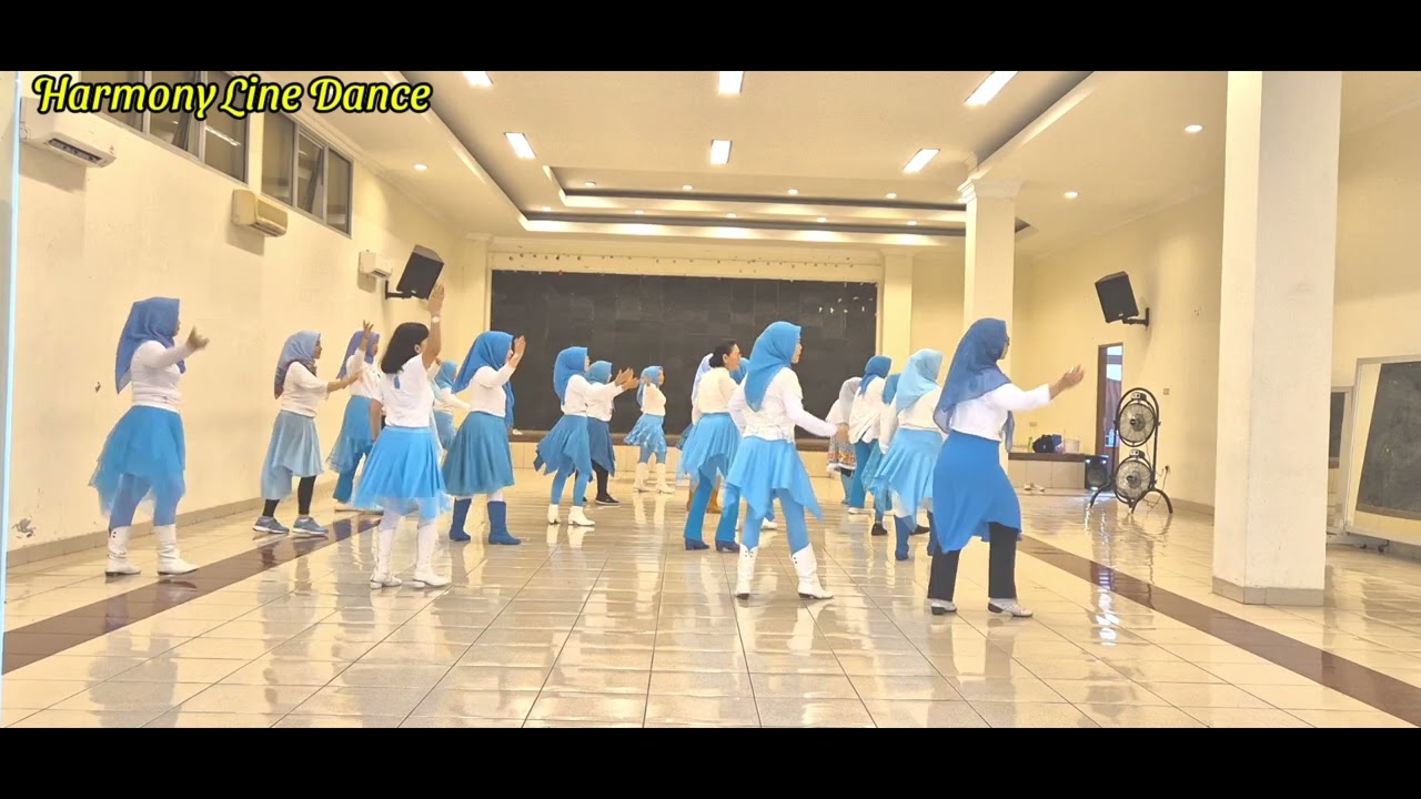 Please Waltz With Me Line Dance