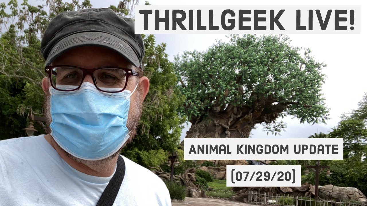 Thrillgeek LIVE! - Animal Kingdom Update (07/29/20) - Disney World